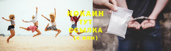 тгк Новодвинск