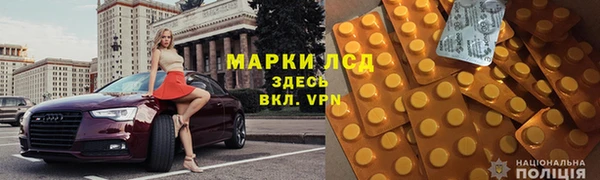 тгк Новодвинск