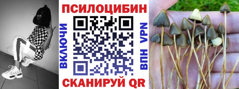 KRAKEN онион купить цена Улан-Удэ Галлюциногенные грибы ЛСД