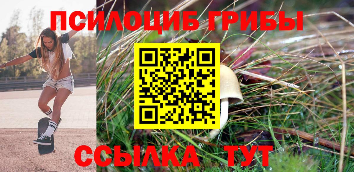Галлюциногенные грибы мицелий  Вход с VPN  Улан-Удэ 