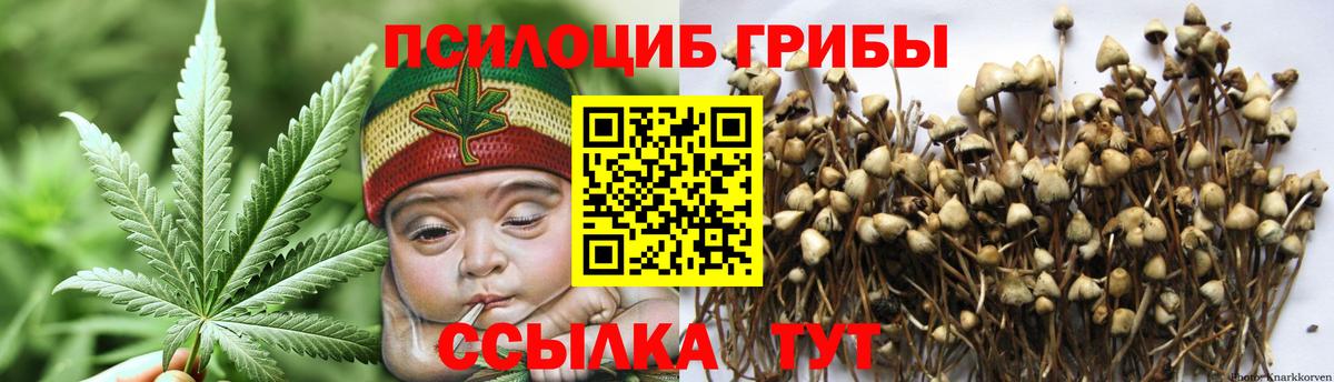 Галлюциногенные грибы Cubensis Улан-Удэ